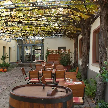 Wein-Domizil Brennofen Hotel Ilbesheim bei Landau in der Pfalz Exterior photo