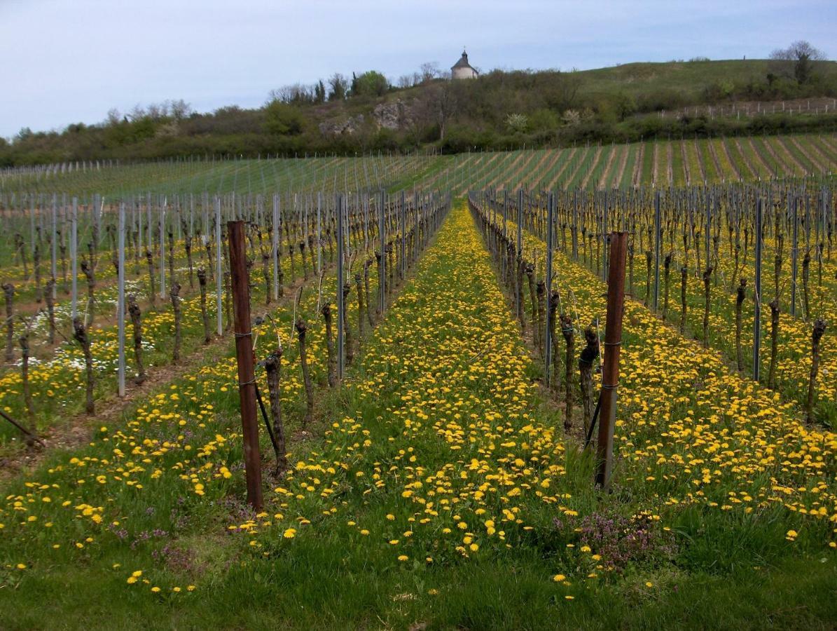 Inn Wein-domizil Brennofen Ilbesheim bei Landau in der Pfalz